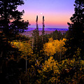 Autumn Evening