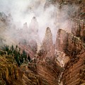 Cedar Mist