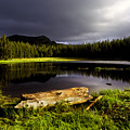 Log and Lake